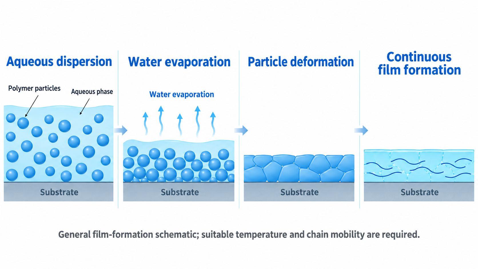 Figure 4. General illustration of water removal, particle packing, deformation and interdiffusion during waterborne-polymer film formation.